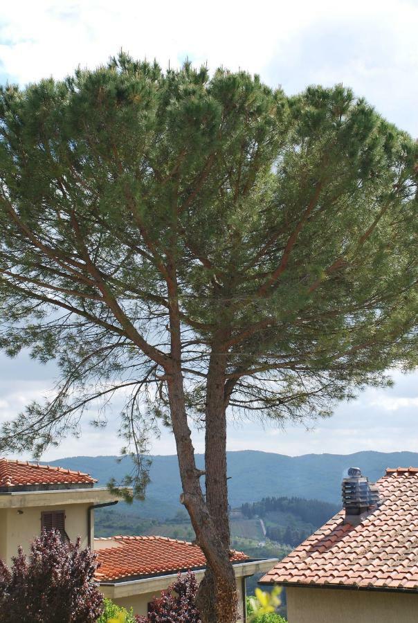 Апартаменти Casa Ai Pini Panzano in Chianti Екстер'єр фото