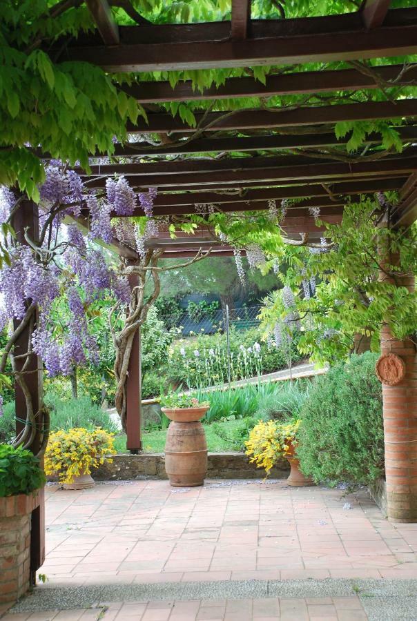 Апартаменти Casa Ai Pini Panzano in Chianti Екстер'єр фото